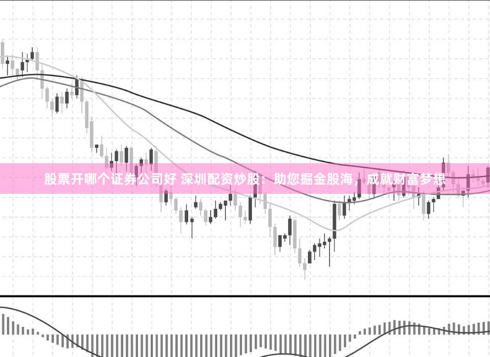 股票开哪个证券公司好 深圳配资炒股:助您掘金股海,成就财富梦想
