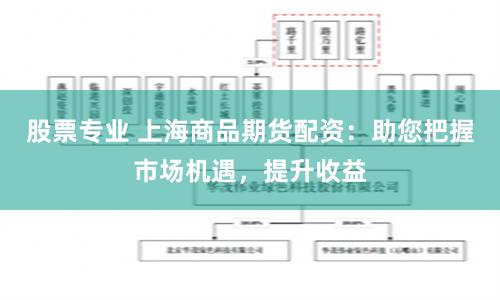 股票专业 上海商品期货配资:助您把握市场机遇,提升收益
