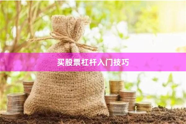 买股票杠杆入门技巧